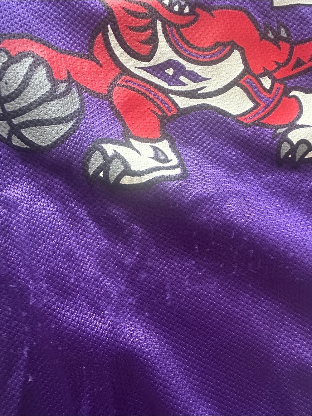 Z—Champion Purple Mesh Basketball Jersey with Red Accent - Picture 7 of 16